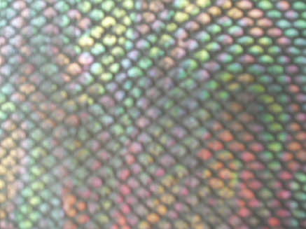 Rainbow_Karung_Snakeskin