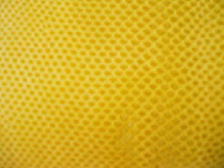 Yellow Karung Snakeskin